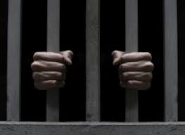 नक्कली शैक्षिक प्रमाणपत्र बनाई ठगी गर्ने कार्यमा संलग्न ७ जना पक्राउ