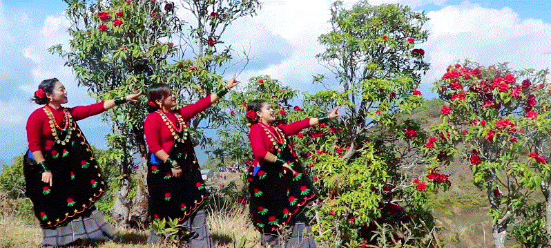 दिप गुरुङको मौलीक गीत ‘सिरानचोके चेली’ सार्वजनिक (भिडियोसहित)