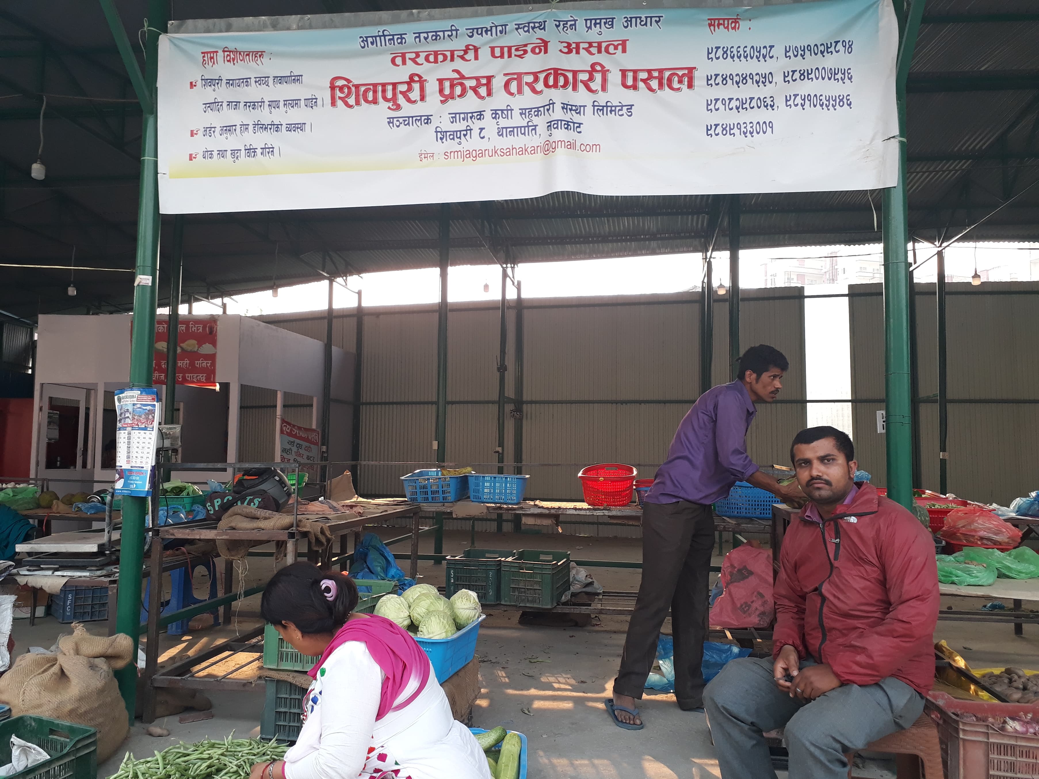 नुवाकोटको अर्गानिक तरकारी काठमाडौंको टोखामा
