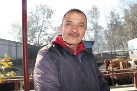 बेबारिसे गाईबाच्छाका सेवक