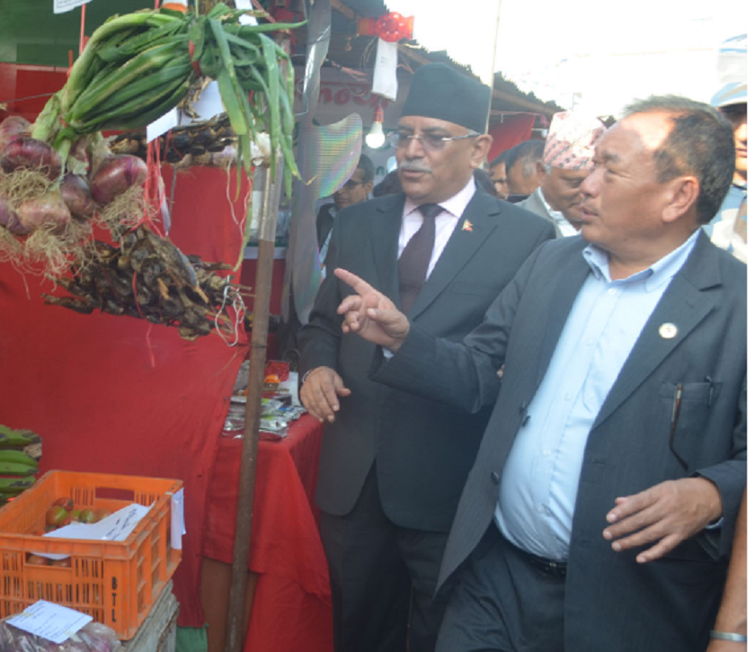 विकास, समृद्धि र रोजगारका लागि कृषि मुख्य आधार  हो  -अध्यक्ष प्रचण्ड