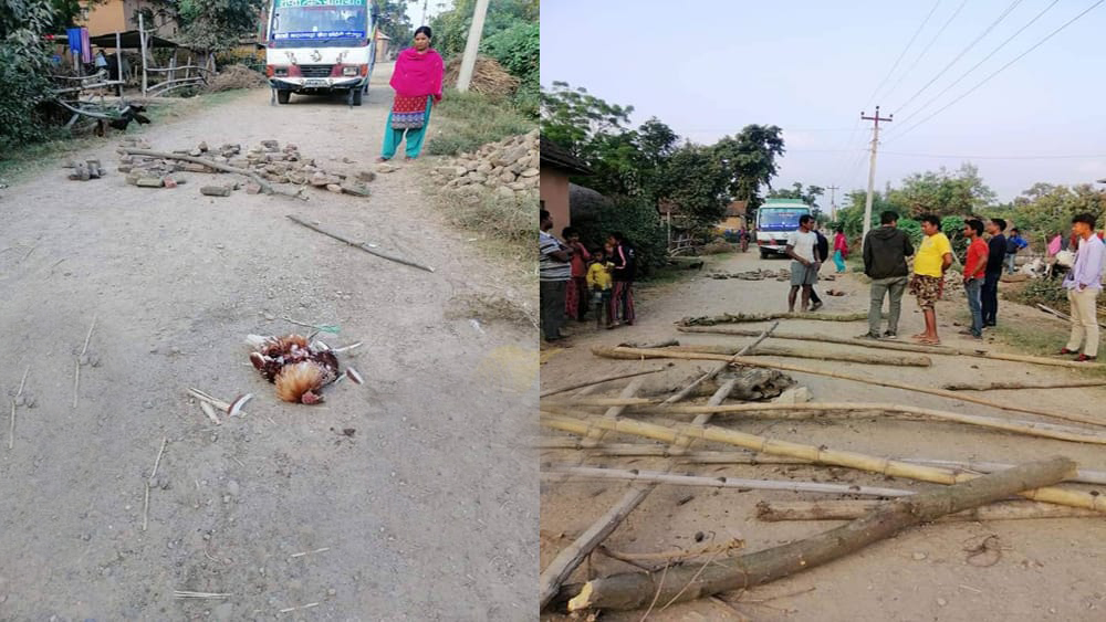 दाङमा बसको ठक्करले कुखुराको भाले मरेपछि चक्काजाम