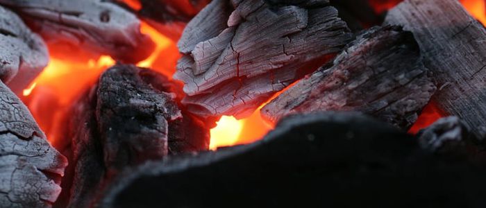मकल बालेर सुतेका आमाछोराको मृत्यु