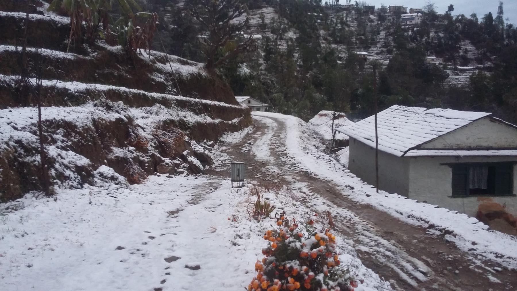 बैतडीका उच्च हिमाली भेगमा पुनः हिमपात