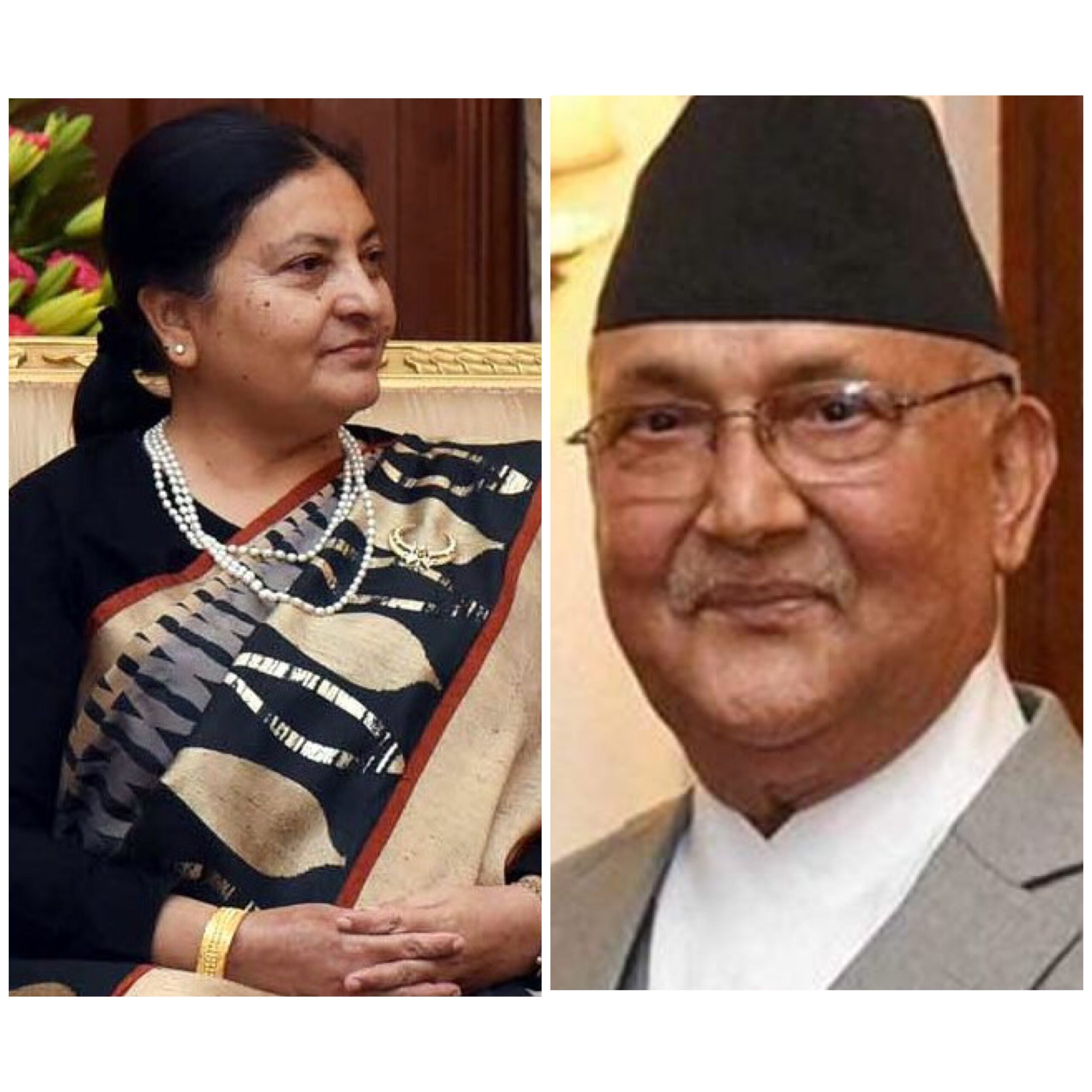 राष्ट्रपति भेटन प्रधानमन्त्री शितल निवासमा