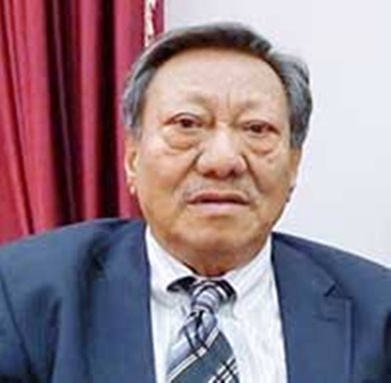 वरिष्ठ पुरातत्वविद् डा.साफल्य अमात्यको निधन