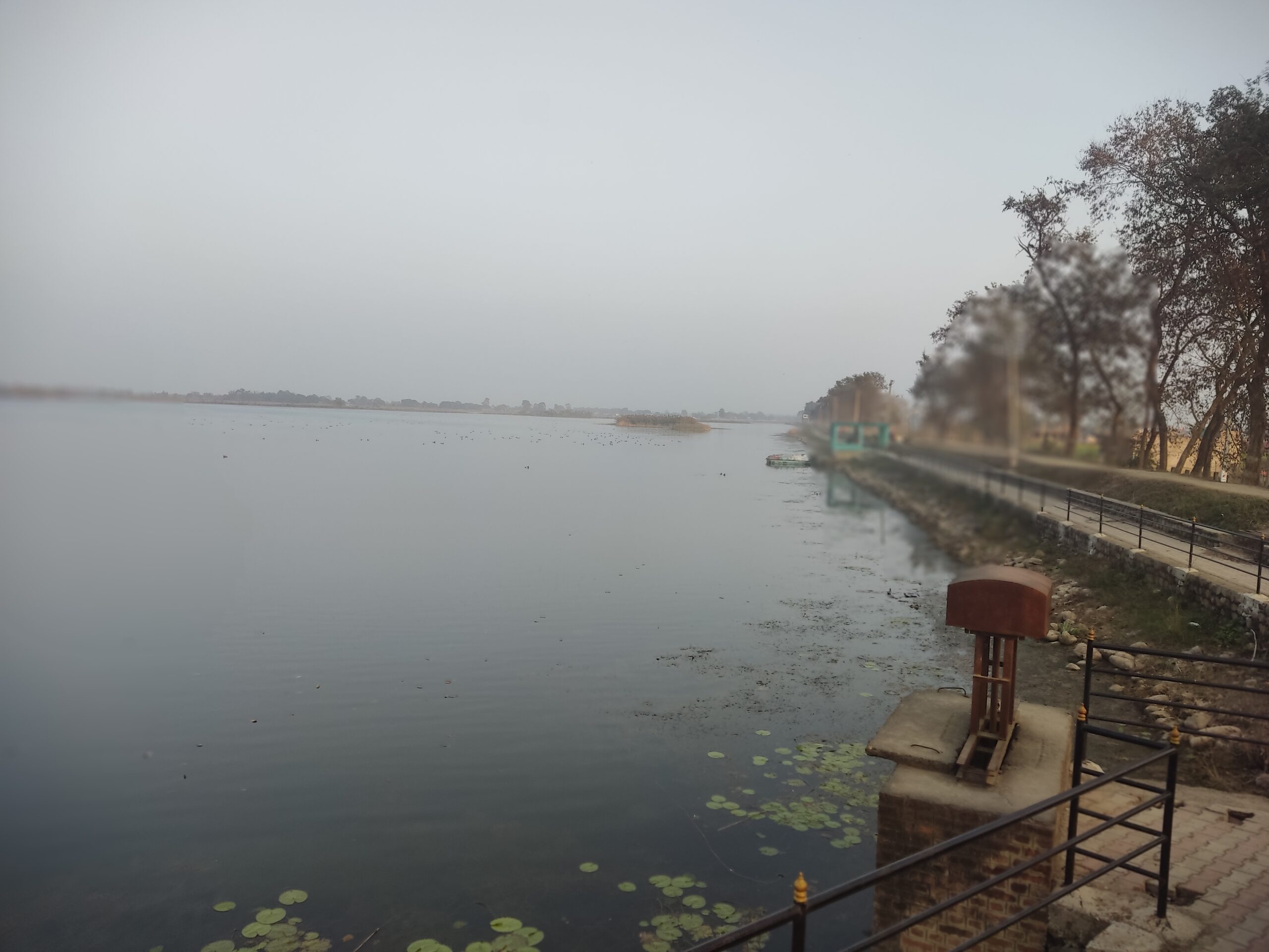 जगदिशपुर ताल : चराहरूको स्वर्ग (तस्वीरहरु)