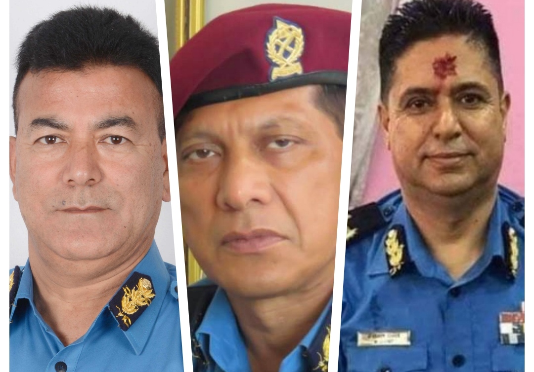 धानुक, शिंह र पन्त एआइजीमा सिफारिस
