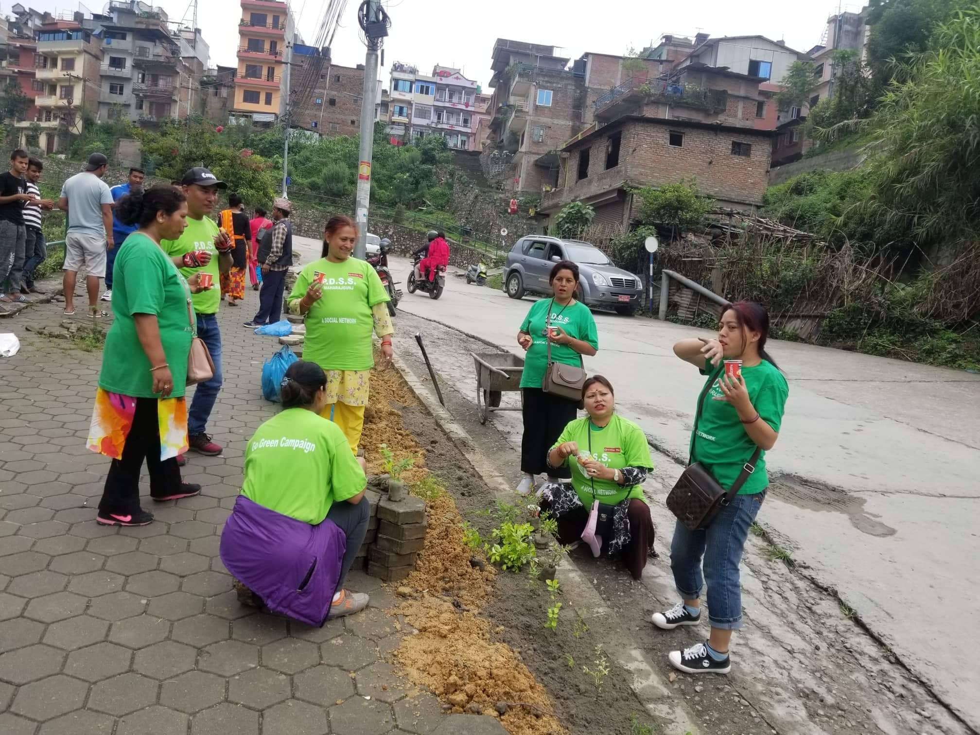 विश्व वातावरण दिवसको अवसरमा वृक्षारोपण