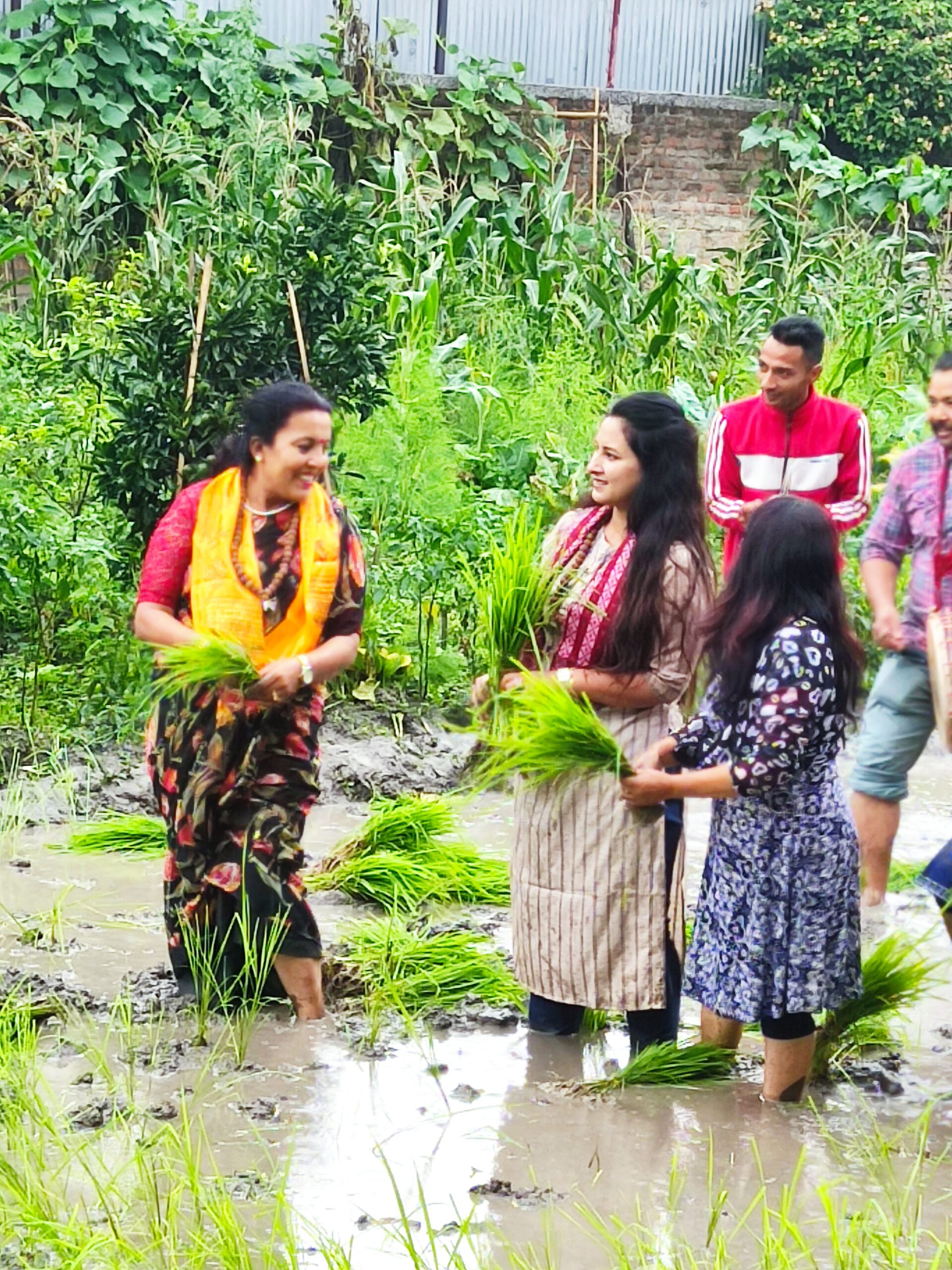 ट्रेड युनियन कांग्रेसले टोखामा मनायो धान दिवस (तस्वीर सहित)