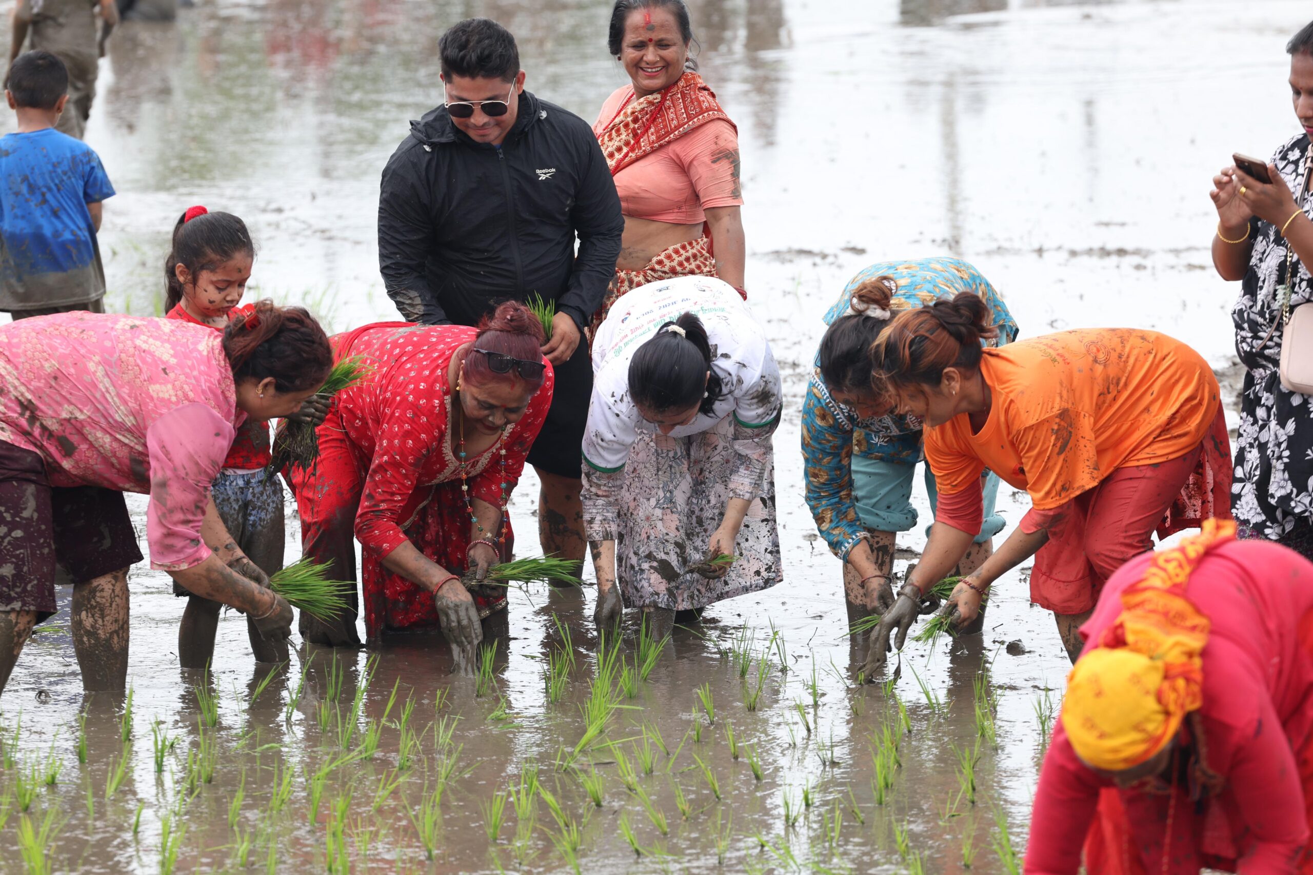 आज धान दिवस मनाईदै(तस्वीरहरु)