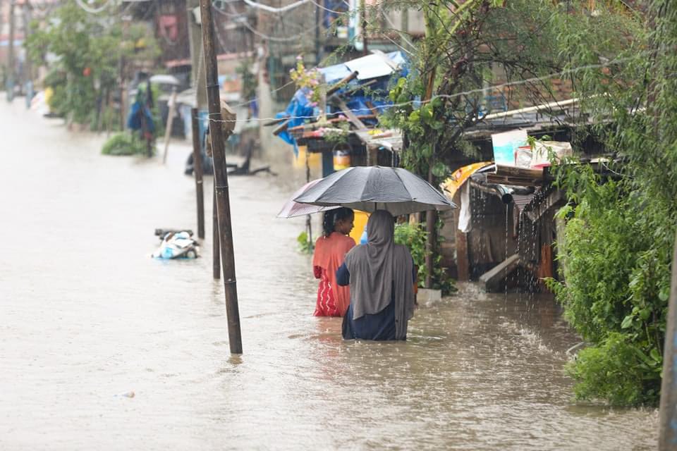 वाढीपैरोमा परि हालसम्म ८० जनाको मृत्यु