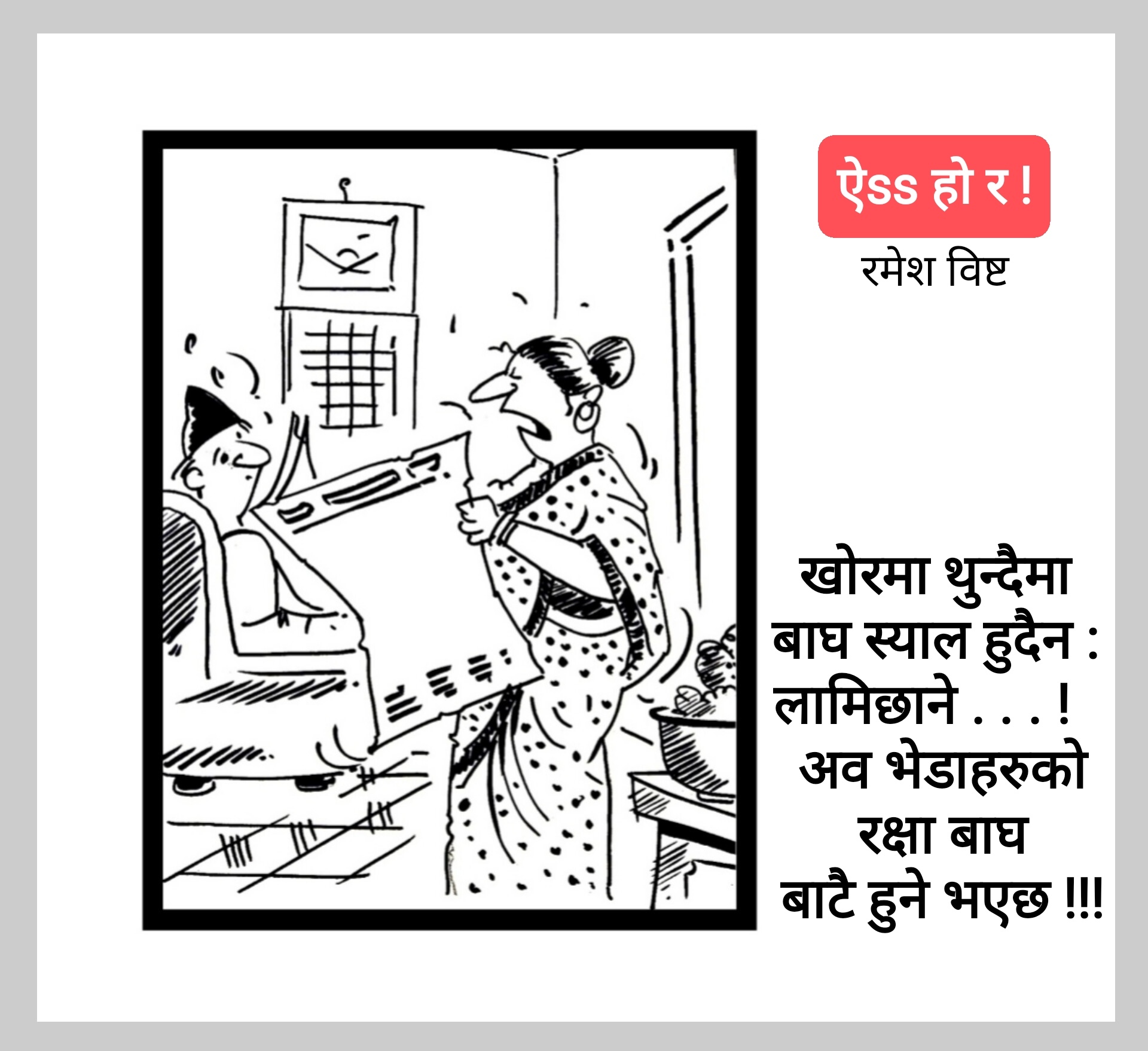 कार्टुन