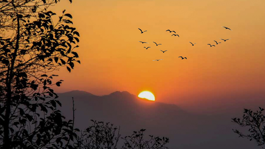 आजदेखि नयाँ वर्ष २०८२ प्रारम्भ