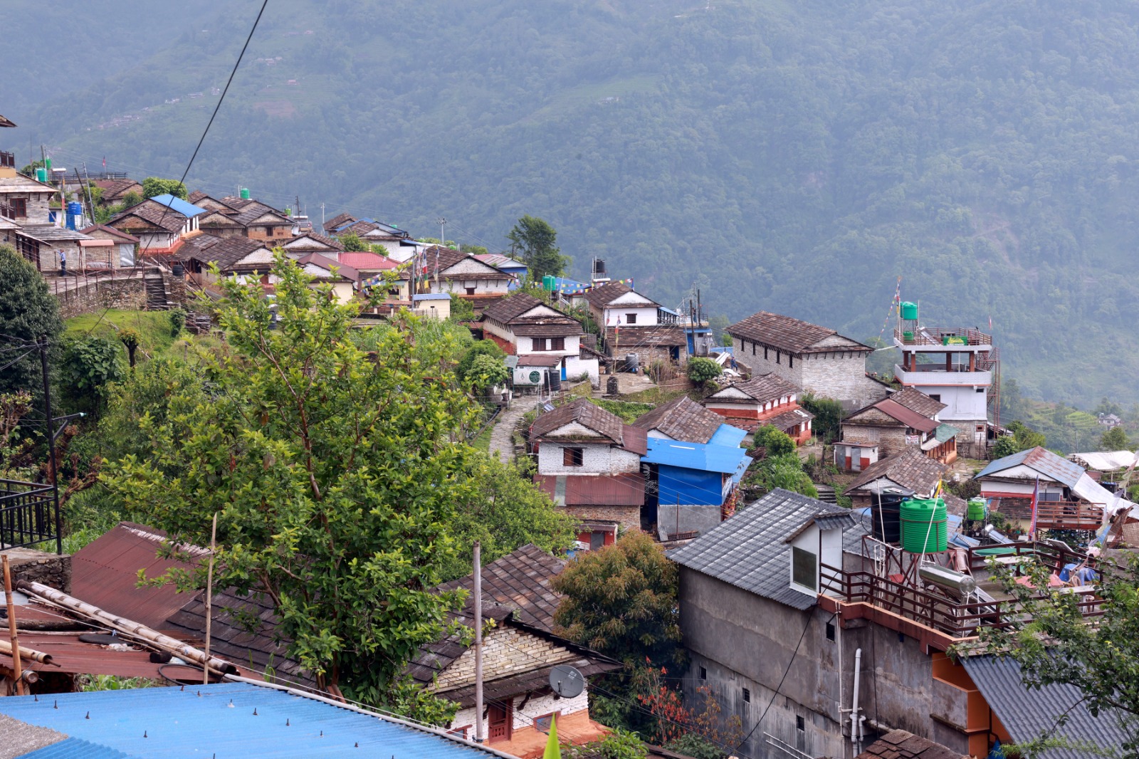 अन्नपूर्णको काखमा फक्रिएको ल्वाङ : चियाबारीबाट पर्यटन प्रवर्द्धन